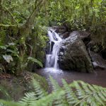 Chacra del Agua